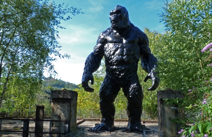 KingKong 